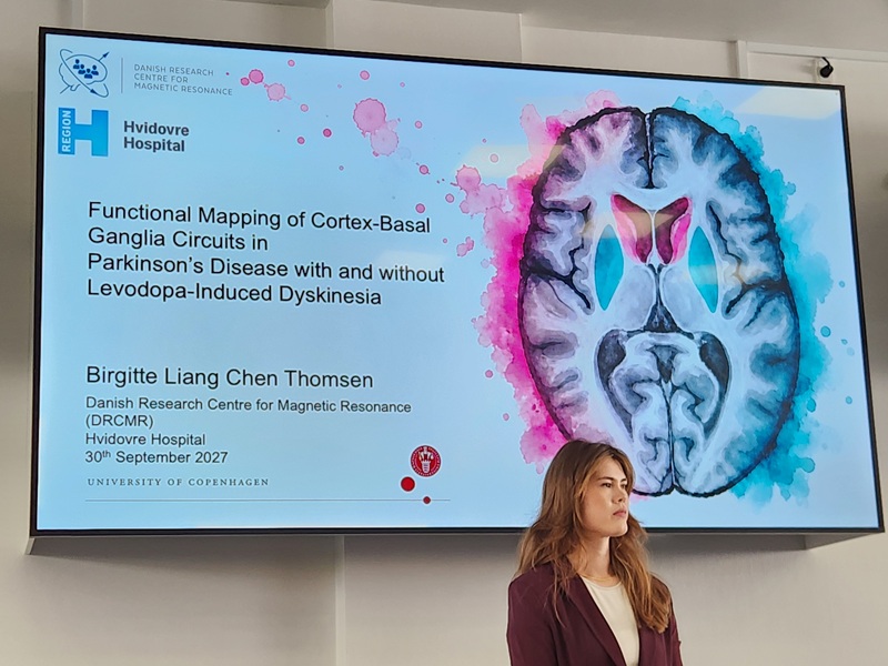 Birgitte phd defence